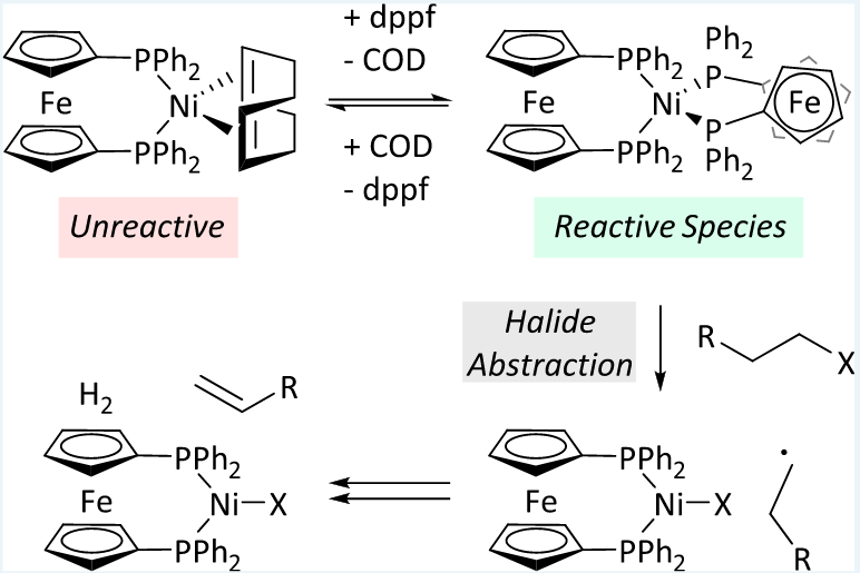 StrathclydeOA's tweet image. Unexpected #nickel complex #speciation unlocks alternative pathways for the reactions of #alkyl #halides with dppf-nickel(0) strathprints.strath.ac.uk/73739/ #chemistry #Catalysis #organometallic #OpenAccess @StrathChem @MeganGreaves7 @TheNelsonGroup