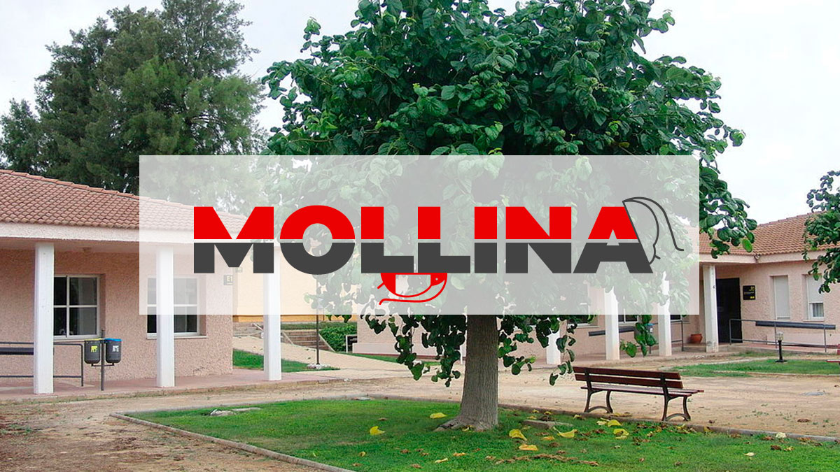 plagiser's tweet image. Topillos, conejos, cucarachas, insectos en las plantas... conoce las plagas más comunes de Mollina (Málaga) y sus soluciones.
➡️ plagiser.com/es/blog-plagis…