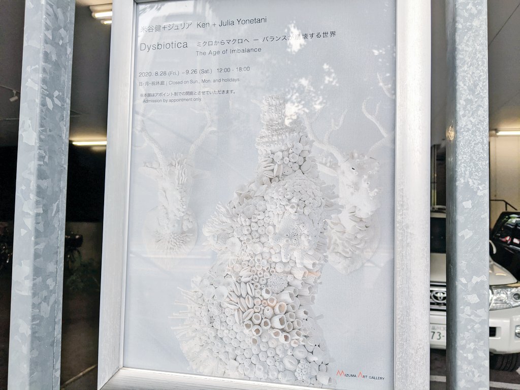 Dysbiotica：ミクロからマクロへ – バランスが崩壊する世界