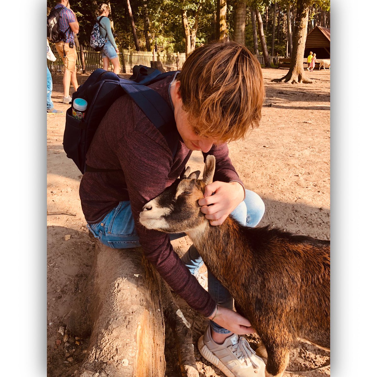 hellberg47's tweet image. Guten Morgen Twitter ✅😘

Hier mal ein Tim mit einer Ziege am kuscheln. 

#nature #animallovers #love