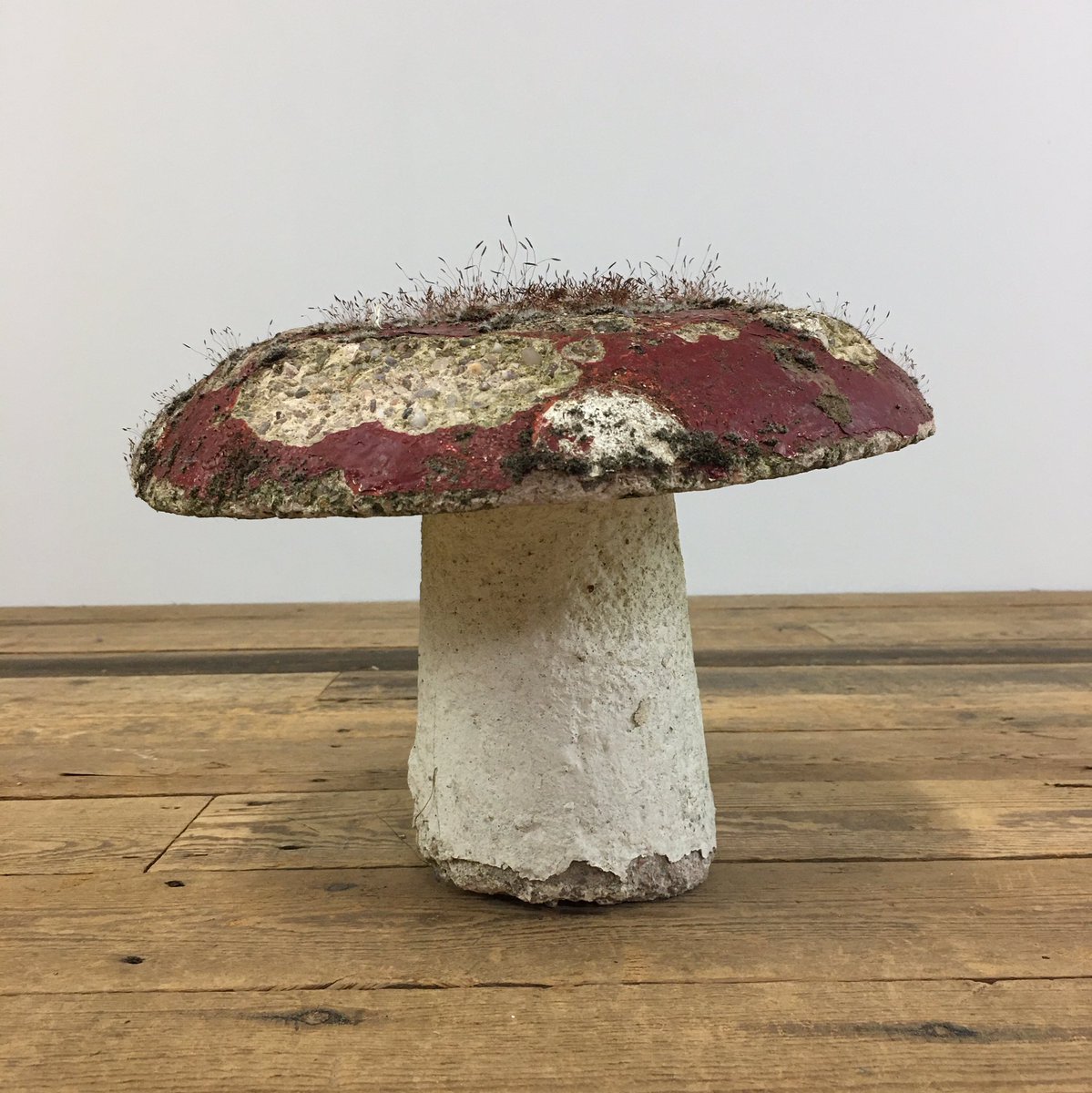 Mushrooms growing on a mushroom. Magic! 🤪👍🏼
 
DM for price
RailwayCottageAntiques.com
TheHoarde.com 
H 22 x W 28 cm approx 
#railwaycottageantiques #smudgetheborderterrier #thehoarde #decorativesalvage #stonemushroom #weathered #gardenornaments #flakeypaint