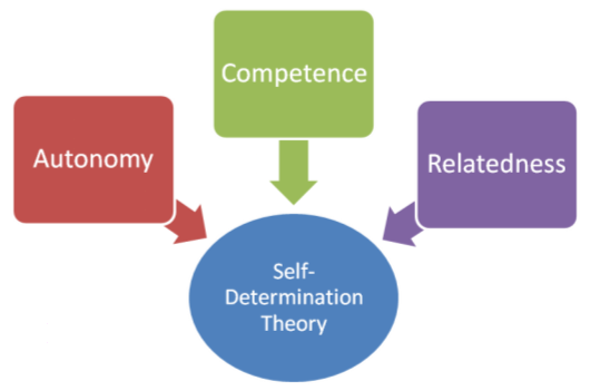 3/ SDTPsychologists agree "Self-Determination Theory" (SDT) is the foundation of intrinsic motivation.Self-Determination lets us feel that we have control over our choices and our lives. The theory says we're driven by three innate needs: Autonomy, Competency, Relatedness