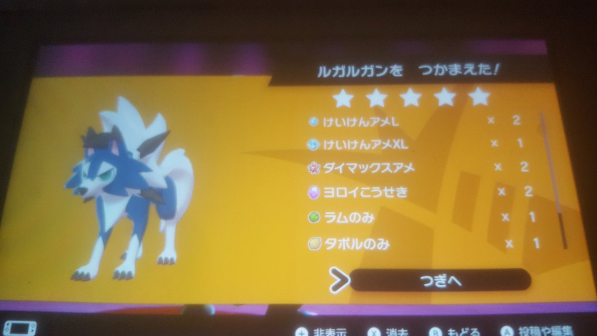 えずぐん On Twitter 修行僧さん S1140044 の企画にて 色違いイワンコと黄昏ルガルガンを捕獲させていただきました 大切に使わせていただきます ありがとうございましたm M しゅぎょーの成果