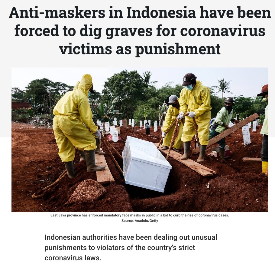 Lord Robot tweet media