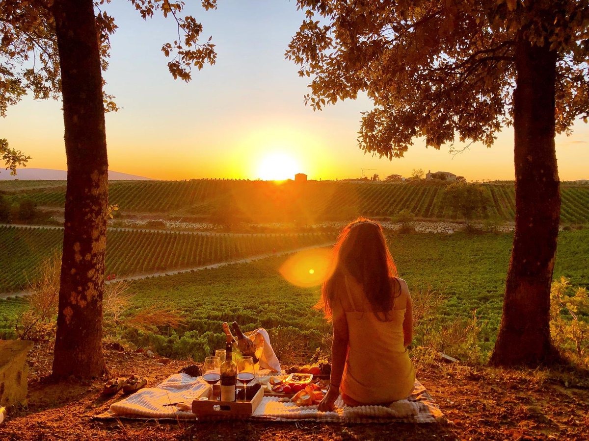 Un pic nic al tramonto in con una vista unica, un’esperienza suggestiva immersa nella campagna toscana, il tutto accompagnato da ottimo cibo e dal nostro vino Al Passo. Questo è il nostro “View Tour” per info e prenotazioni: tolaini.it/it/ mail: hospitality@tolaini.it