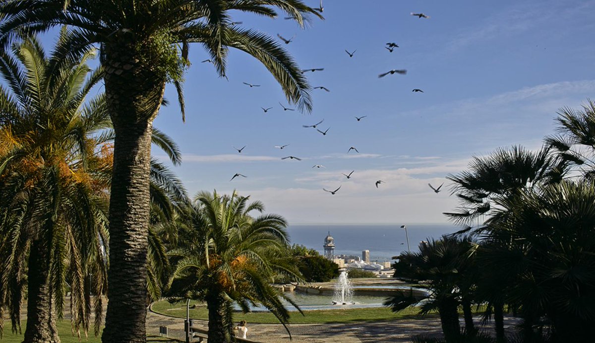 bizflats's tweet image. What You Need to Know before Visiting Parc de Montjuïc  👉cutt.ly/DfSsJCZ
#Barcelonaguide #Montjuïc