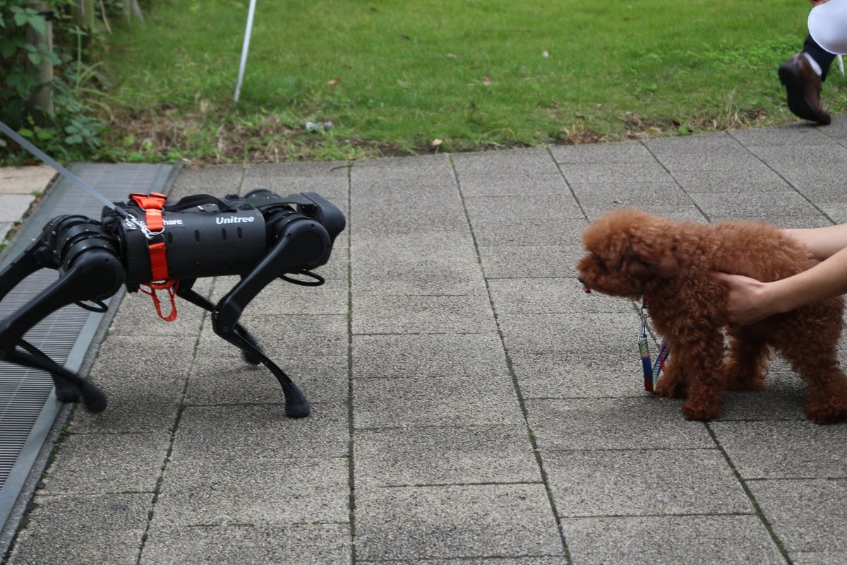 TechShareStore's tweet photo. まるで4コマ漫画みたい。 飼い主さんがロボット犬(Unitree A1) に近づけてくださったのですが、あまり興味を持ってくれず、振られてしまった様子。

https://t.co/NYoEEby6Xy
ぜひ上のURLを見てみてください。

#A1犬屋敷  #UnitreeA1　#robotdog #ロボット犬 #TechShare #Physicalcomputinglab https://t.co/pWKLbLIJHs