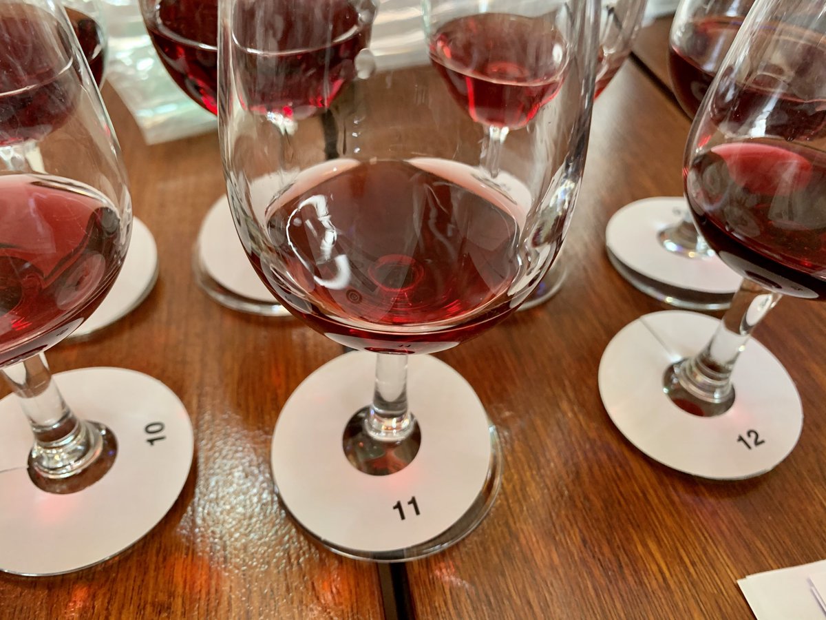 Winbeebee's tweet image. Excited to judge inaugural ⁦@top5wine⁩ 109 entries! ⁦@VindulgeSA⁩ ⁦@RudgerW⁩ ⁦@Mutambe⁩ ⁦@AntonSwarts⁩ #PinotNoir