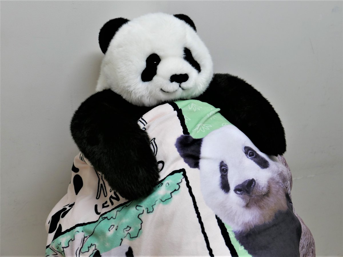 パンダ自身 2022 窓ふきシャンのもふもふブランケット 再販】「ブランケット シャンシャン 税込2200円」 東園リトルトランク