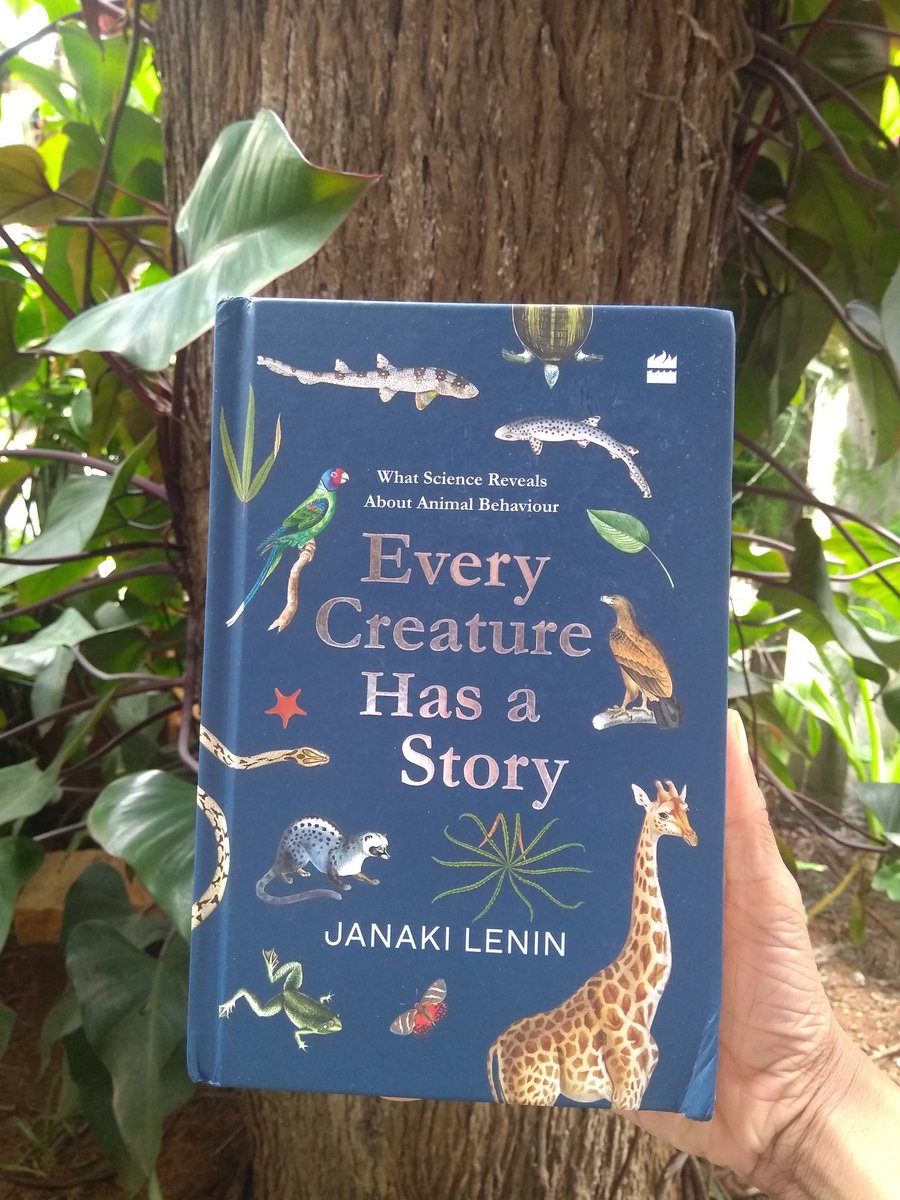 BlinkagainCo's tweet photo. Now, on to the next beautiful book by the fantastic @JanakiLenin 

Thank you @Sahilregimathew for a perfect pick-me-up! https://t.co/TBm9s42XMX