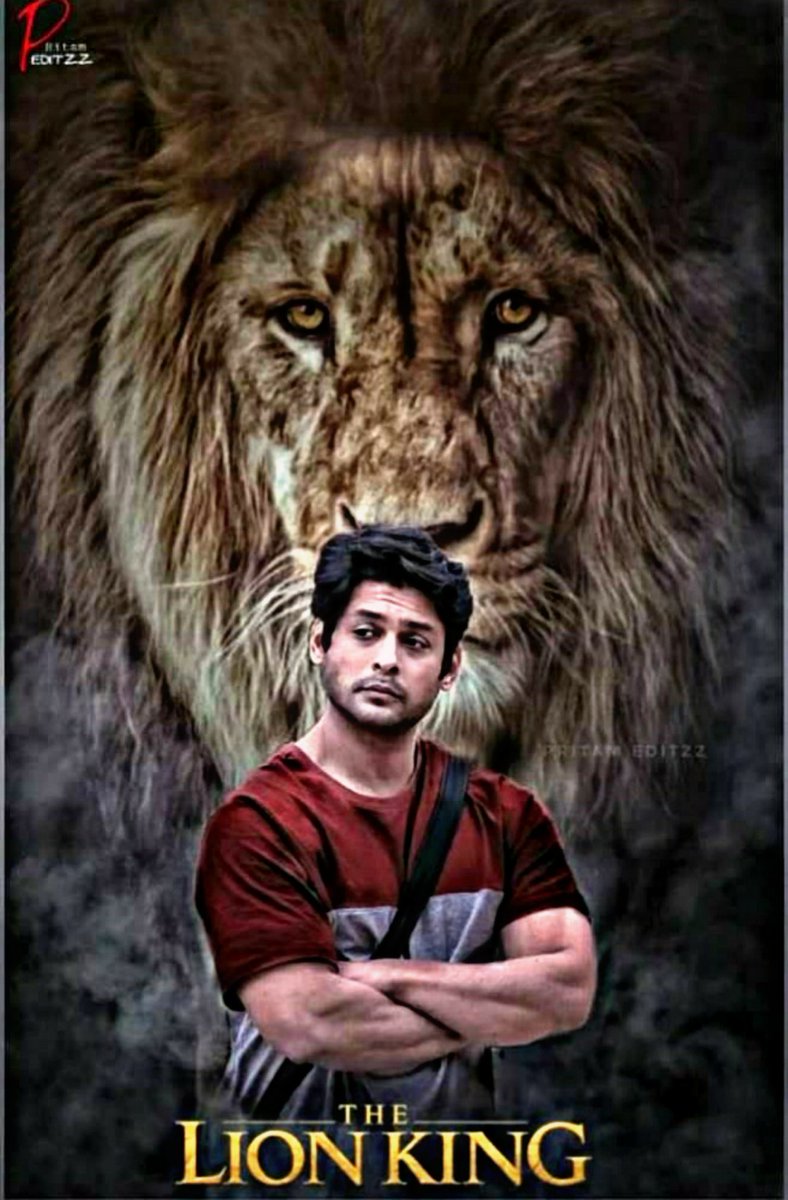 Never forget who you are, the lion king of BB13  @sidharth_shukla  