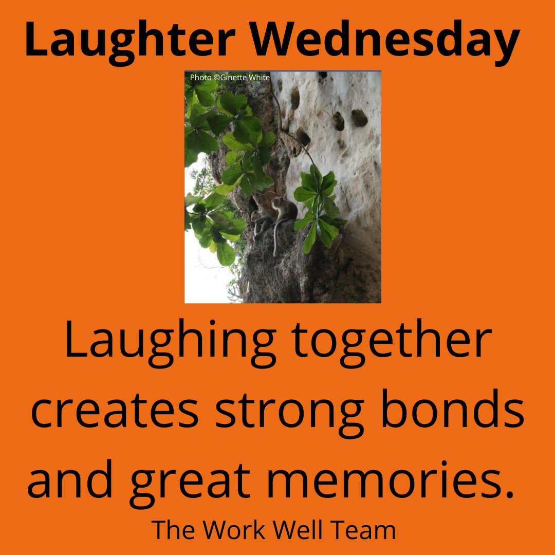 workwellteam's tweet photo. #connection #mindfulness #gratitude #laughter #selfcompassion #kindness #mentalhealth https://t.co/rf8xgFcneS