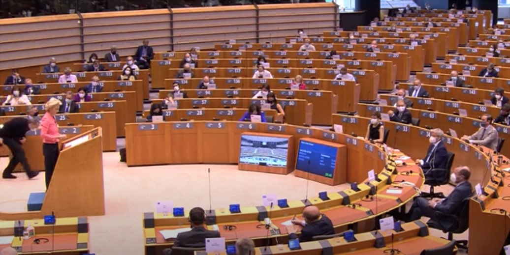 VestisAI tweet media