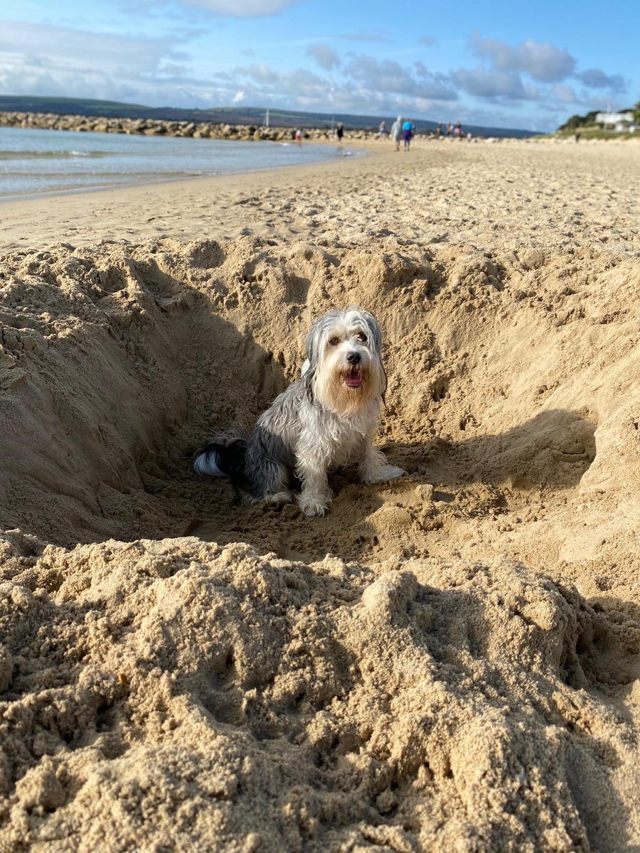 Marley says have a GREAT day! He also says if any lovely ladies want to come and help him dig the bestest hole in the world then he’s down with that. K🌻 x