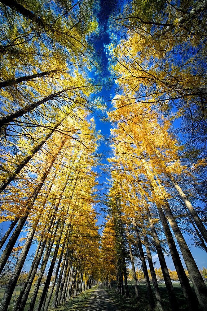 #6: Sky color: Air scatters shorter wavelength and Blue light is among the shortest of visible wavelengths so the sky is blue.