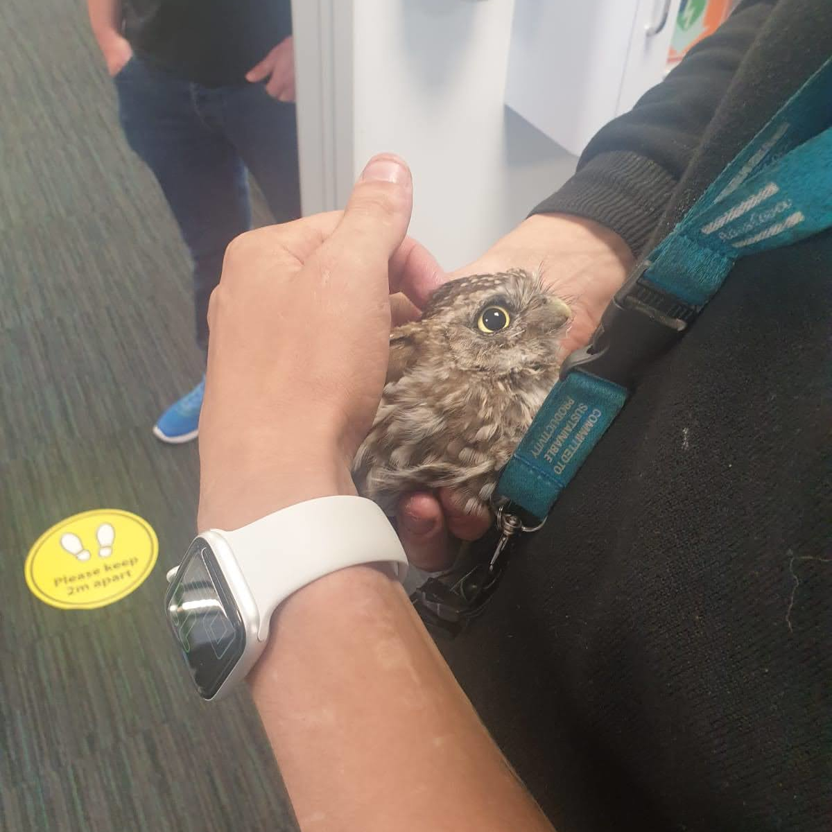 TweetPennine's tweet photo. An unexpected customer!
Tony the tawny flew in to our trade counter yesterday. We're not sure what spares he required as he hid behind the coffee machine. A little bit of encouragement and he was back outside again.
#unusualcustomer #tradecounter #spares #pps #simmeng https://t.co/Kug6JdnvYE