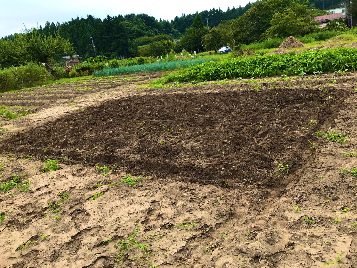 Takatsuka Farm Ymフーズさんにて卵殻石灰を購入し 撒いてきました kgで100円でした ありがたいです 畝立てが上手にできるか チャレンジしてきます タカツカ農園 卵殻石灰 畝立て 鍬の上手な使い方 秋冬野菜