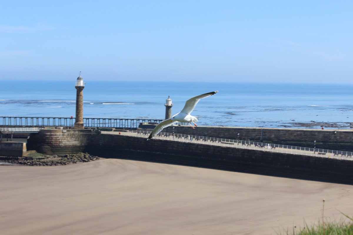 captains_lodge's tweet photo. Beautiful Whitby basking in the sunshine. Lovely place to explore and go walking to get away from the crowds. https://t.co/F7den2JT83