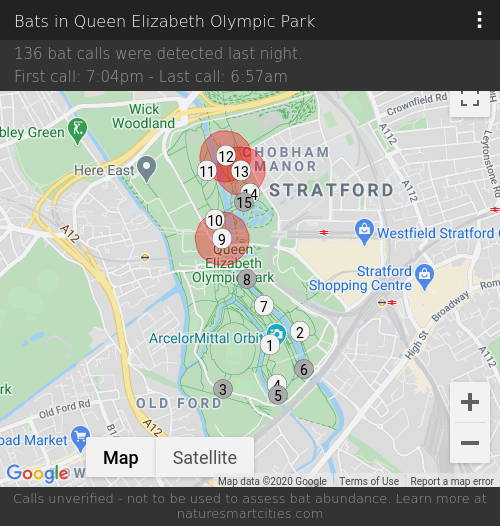 136 bat calls were detected last night, 15-09-2020.