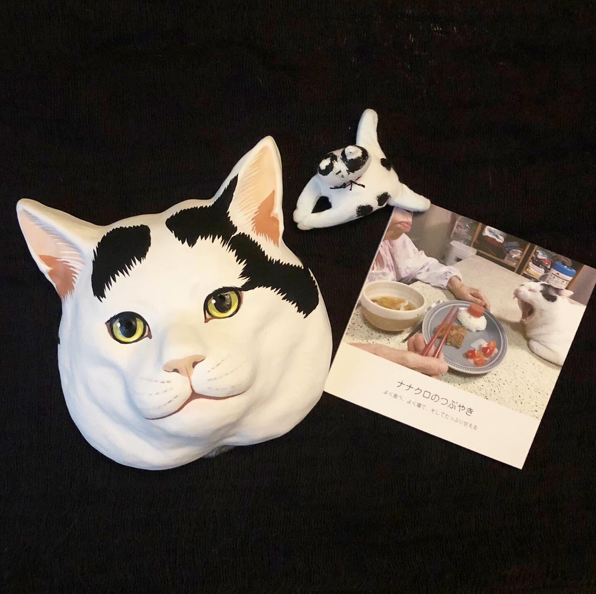 うちの猫ら Traola Twitterren うちの猫ら Traola Twitterren