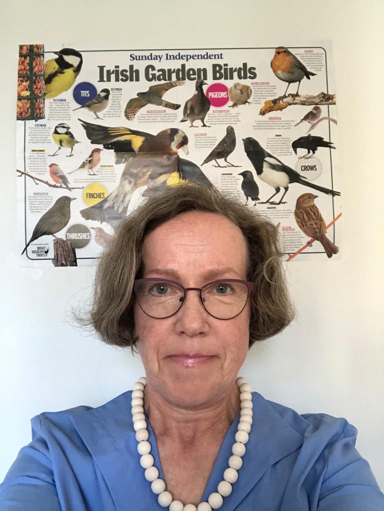 Anne Mutanen (@a_mutanen) on Twitter photo 🇫🇮 Amb <a href="/RLahnalampi/">Raili Lahnalampi</a> brought us down to earth with bird life in background in her opening. The reason we need partnerships on #smartcities such as #nordicsmartireland is for our cities to be #sustainable. History obliges us to continue to be innovative for sustainable future 🌱🌍 🇫🇮 Amb <a href="/RLahnalampi/">Raili Lahnalampi</a> brought us down to earth with bird life in background in her opening. The reason we need partnerships on #smartcities such as #nordicsmartireland is for our cities to be #sustainable. History obliges us to continue to be innovative for sustainable future 🌱🌍