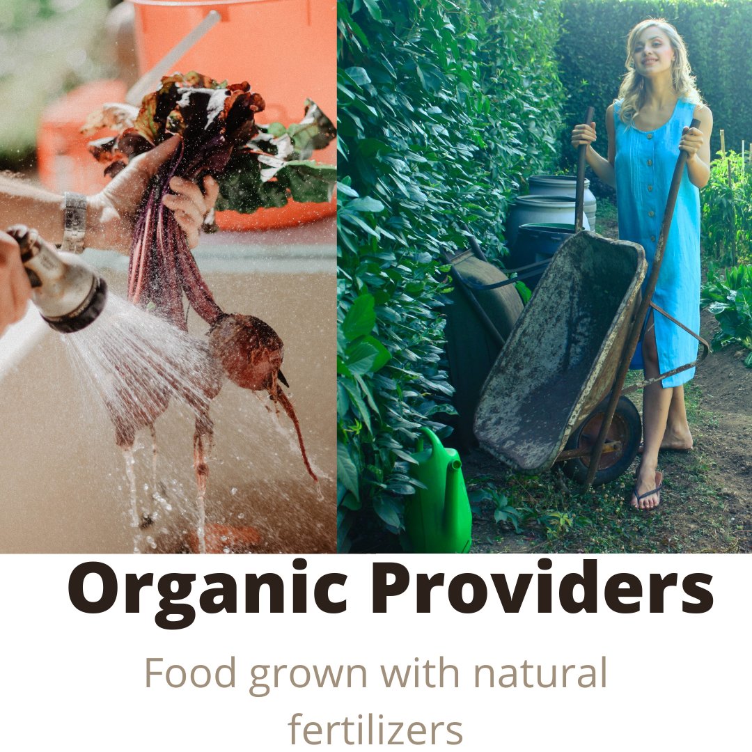 OProviders's tweet photo. we all need a balance of protein, fat, carbohydrates, fiber, vitamins, and minerals in our diets to sustain a healthy body. Organic food and products are the best in this regard. https://t.co/MfbsZsMMe3
#organic #organicfood #organico #organicgarden #organicwine #organicfoods https://t.co/Zgl6sB7p1y