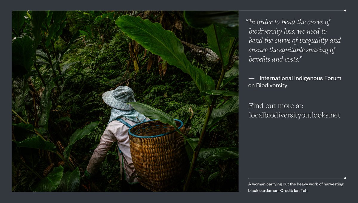 NatureDeal's tweet photo. The contributions of #indigenous peoples and local communities have been neglected &amp; marginalised. This is linked to global underachievement in meeting the Aichi Biodiversity Targets. 

➡️ https://t.co/2XIqdOqBCX

#LBO2 #Biodiversity2020 #NaturePositive https://t.co/Ax9B9tbcUv