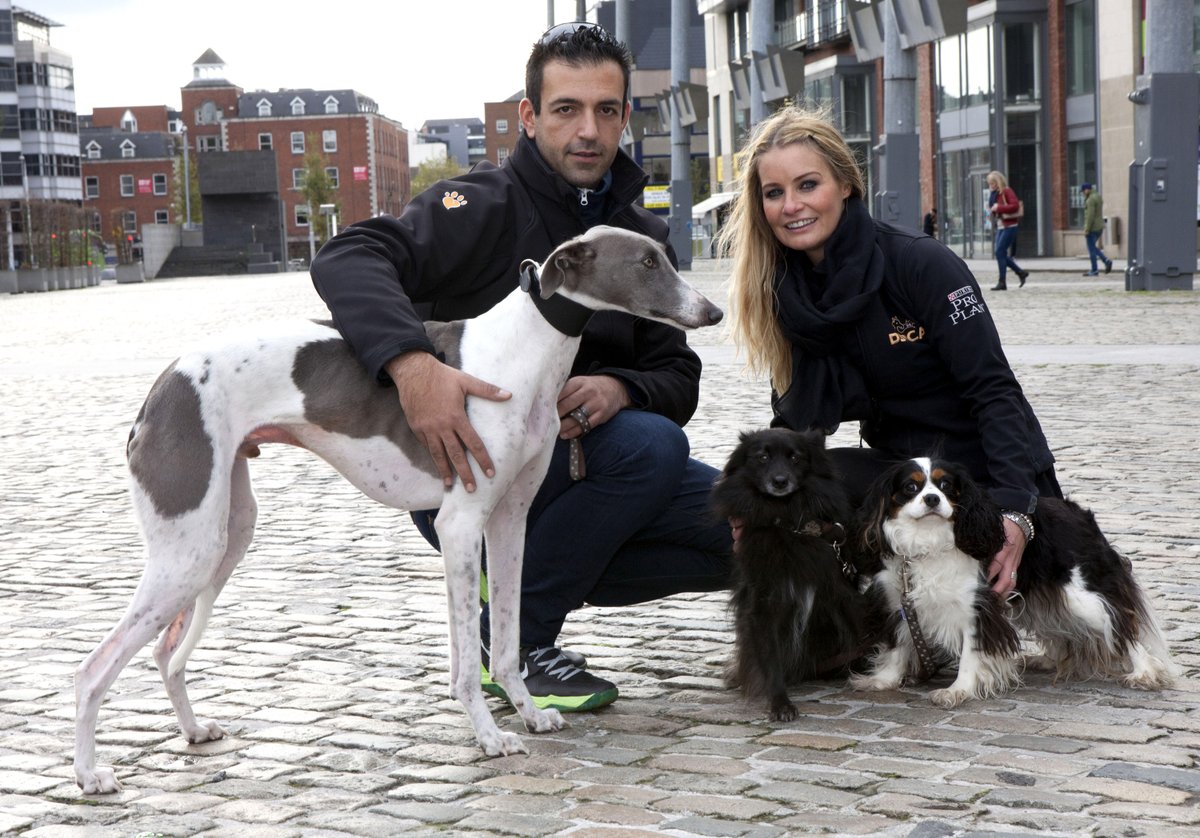 For the last 6 years #PetsInTheCity has attracted attendees from all over the country! Although this year may be slightly different due to COVID-19, hopefully we will all be able to come together and celebrate at Pets in the City 2021! ❤️🐱🐶🎉

#DublinPets #Throwback  #StaySafe