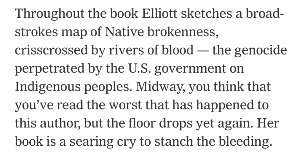 My stomach dropped as soon as I read the title of the review: "The Harsh Realities of Being Indigenous." I immediately was afraid the reviewer looked at my work as trauma porn designed to make non-Indigenous folks feel pity for me. That is NOT my goal. But sure enough: