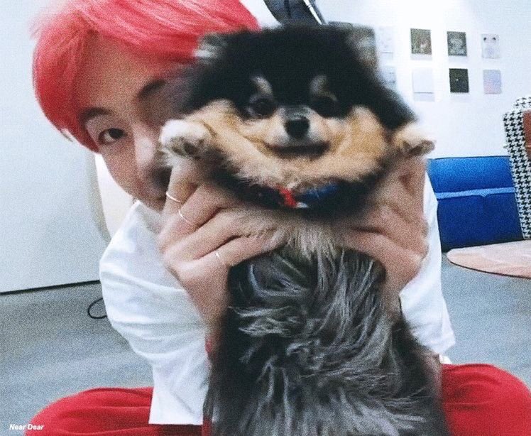 🥺