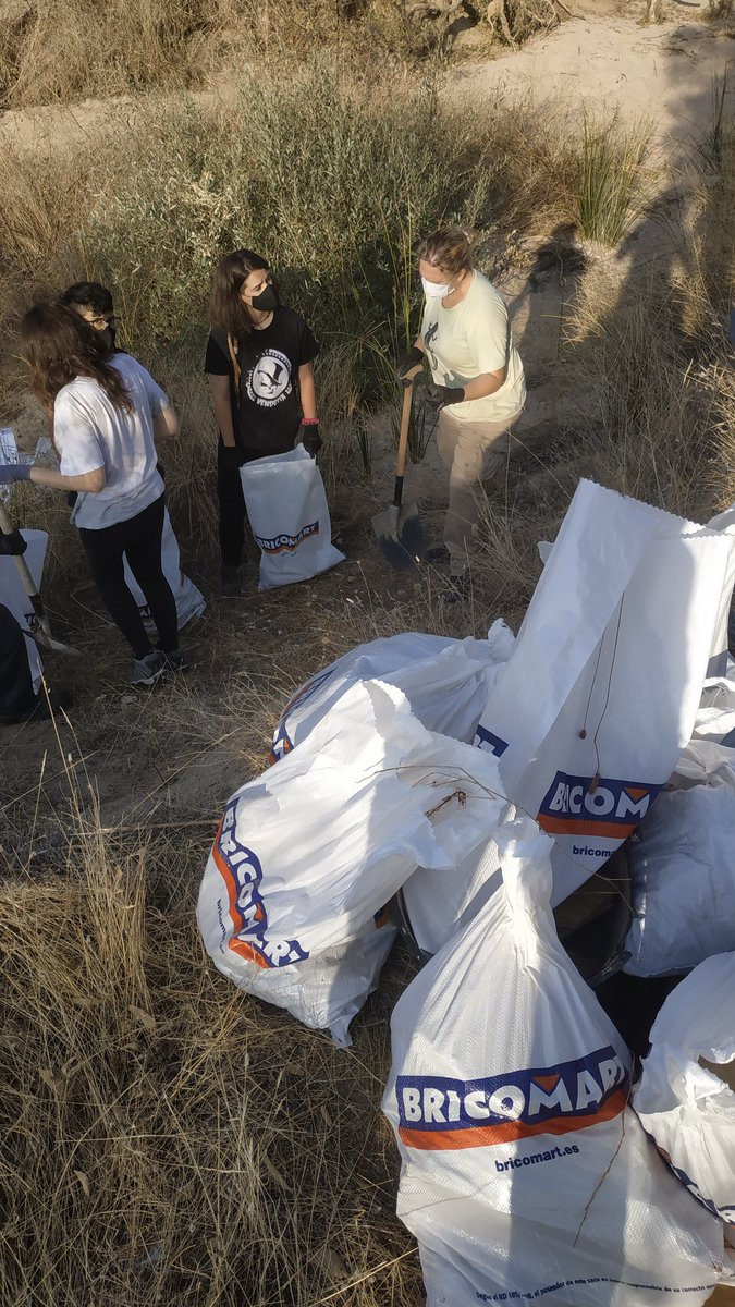 Hoy, aprovechando que se celebra el #DiaMundialdelaCapadeOzono, hemos llevado a cabo la segunda jornada de recogida de basuraleza de este año, dentro del #ProyectoLibera.
¡Podéis ver la cantidad de sacos que hemos llenado de escombros! 🙈😅
#HeroesLibera https://t.co/tFvxDc60fi