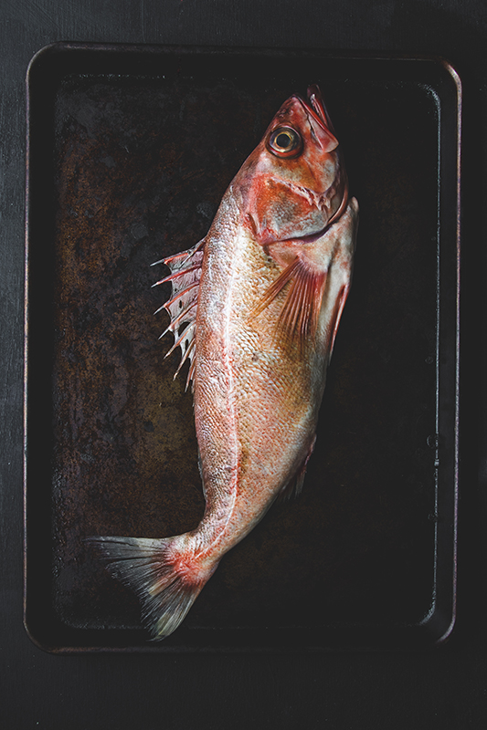EdibleSF's tweet photo. In this week's newsletter (sign up below) we're talking whole fish: where to get and how to cook. This is a beautiful chili pepper rock fish landed by local fishing boat FV Mister Morgan that we ordered through Water2Table. https://t.co/nRvDQyJOxk https://t.co/KujveMrskM