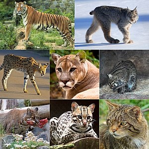 rkhamsi's tweet photo. @Geistb0t @christinagiles the Supplementary Information https://t.co/BVnDXt3pbU