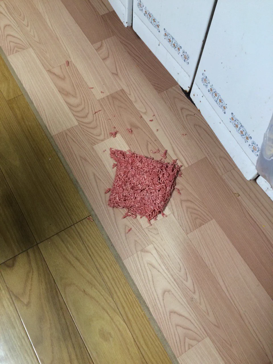 @maple2692 みんな色々やらかしてて安心した☺️☺️☺️ 