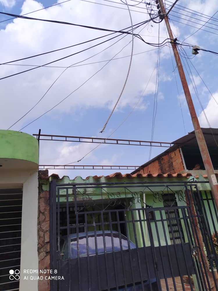 marrojas84's tweet photo. Buenos días Alcalde @Alemarvez10 @nancydelacava requiero de su apoyo para cortar o replantar un chaguaramo que se encuentra ubicado en el sector 8 de La Isabelica. En días pasado cayó una rama en una guaya y suspendió el servicio eléctrico en el sector y casi quema un vehiculo. https://t.co/WbhPa26lRS