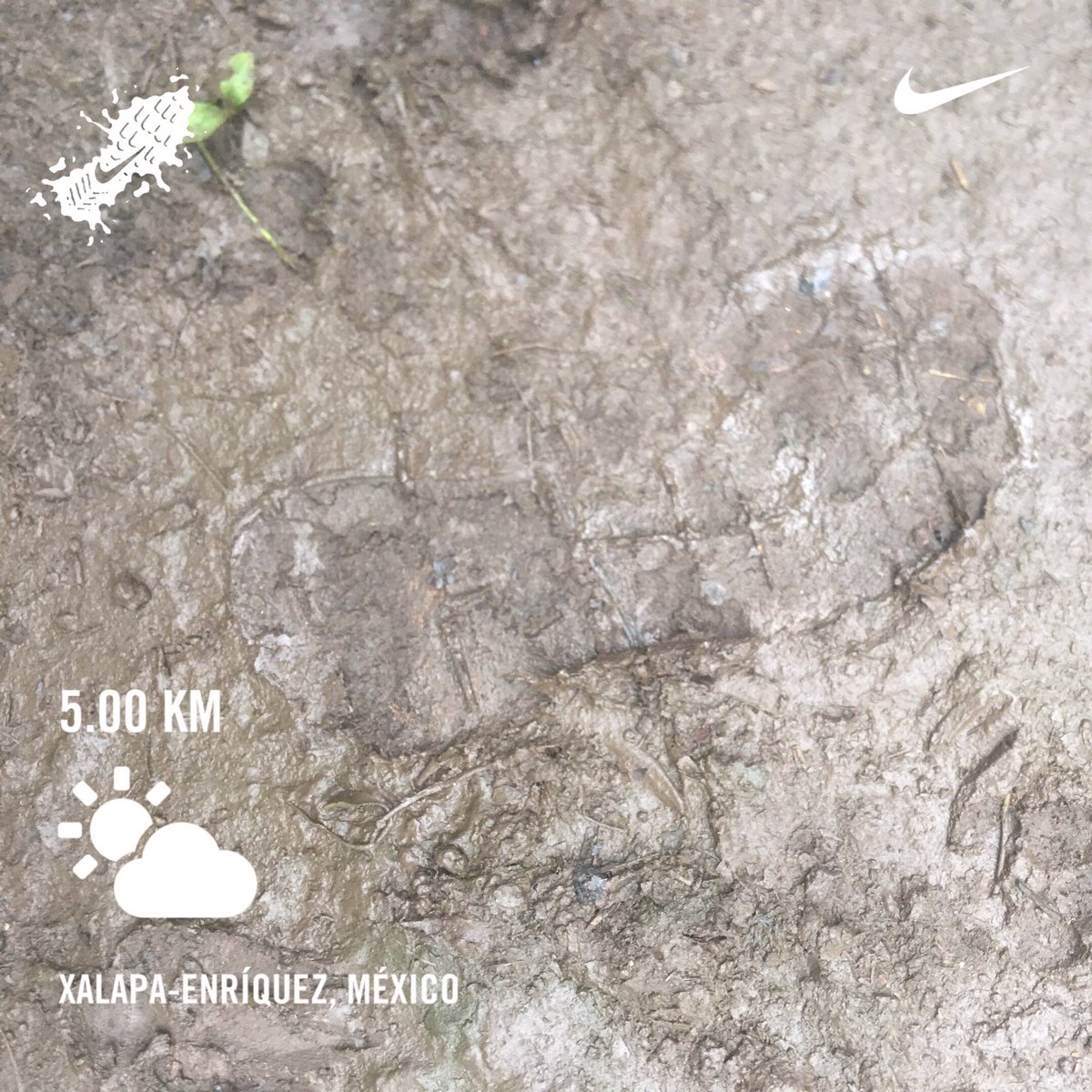 ElPumaRunner's tweet photo. #VivaMéxico  🇲🇽 🏃 ☀️ 💦 
Kilómetros a la mexicana!!
Feliz #DíadelaIndependencia 
#cuarentrena #SanaDistancia         #YoElegíCorrer #ComodeQueNO #CorrerNOhaceDaño  @yoelegicorrer1 https://t.co/0uCGKXU3mC