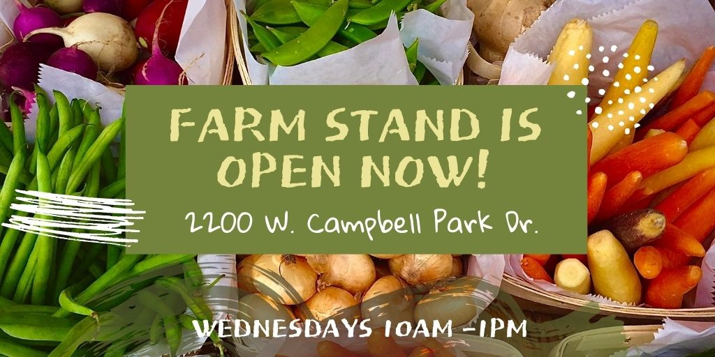 UrbanAutismSol's tweet photo. Onsite Farmstand is NOW OPEN!
2200 W. Campbell Park Dr. 
Wednesdays 10:00 am -1:00 pm

#urbanfarming #AllinIllinois #ChicagoNonprofit #Autism #AutismNetwork #YoungAdultswithAutism #Nonprofit #Chicago https://t.co/UgznNLl8FZ