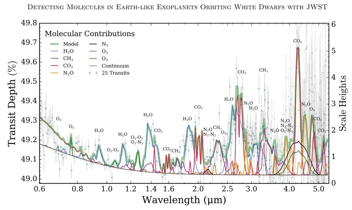 We produced transmission spectra and simulated JWST observations from atmospheric models of white dwarf planets (by dead star aficionado  @theakozakis!)We then conducted a detailed atmospheric retrieval analysis.The results blew us away.