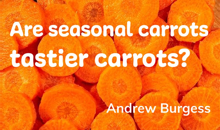 Are seasonal carrots tastier carrots? Andrew Burgess @rborganic shares his tips on picking out the tastiest carrots at different times of year, as well as how to prep and store them over at: vegpower.org.uk/are-seasonal-c… #SeasonalVeg <a href="/NFUtweets/">National Farmers' Union</a> @carrotgrowers @ProduceWorld