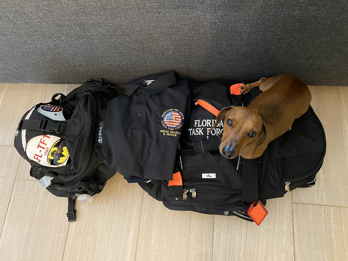 benabo's tweet photo. Otis & I always at the ready for deployment to help strangers in need. Otis is great support, but only wishes that he could be an official @SuperpowerDogs like Halo & Bailey. #USAR #EMSphysician #DisasterDoc #DisasterDocs #AlwaysReadyProudToServe https://t.co/FtxhQkjGWf
