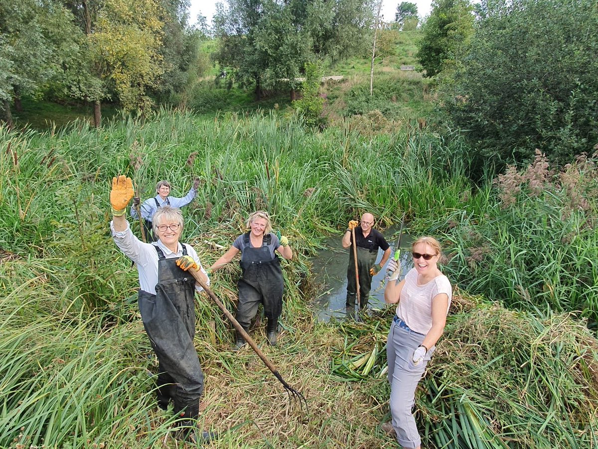 Thank you to our intrepid #ConservationVolunteers who got stuck in to pond habitat restoration today on the Park! Lovely day to be outside! @idverde_GDT @legacyvolunteer @noordinarypark @LondonLegacy