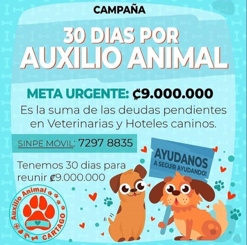 heyyy, se necesitan donaciones con urgencia para ayudar a Auxilio Animal 🥺