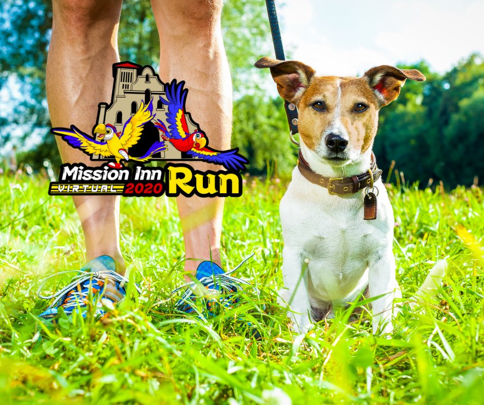 Usually run with your best friend? They can join too, and receive a sweet new 2020 Mission Inn Run bandanna. Just $10 to add your best friend to your run registration!

#missioninnrun
#missioninnfoundation
missioninnrun.org