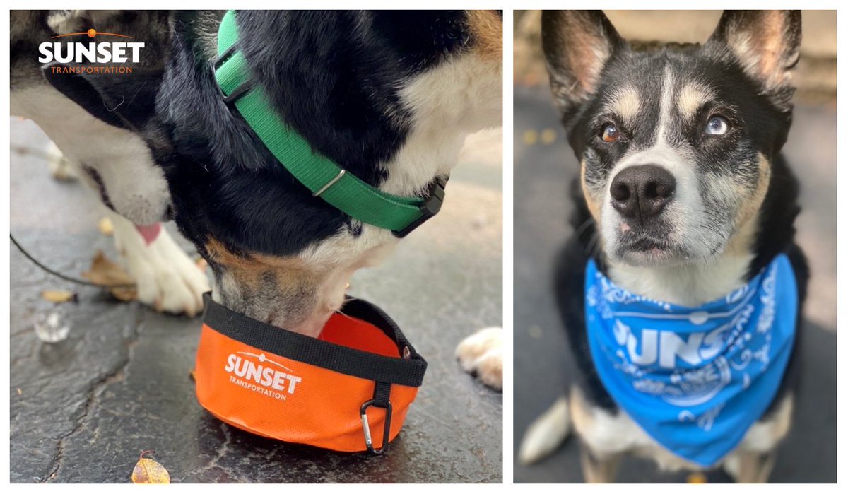 SunsetTrans's tweet photo. Stop by Sunset's digital showroom to snag your own portable pet bowl and bandana - Remy and Norman approved! #SunsetLovesPets #CONNECTPetPics #PetfoodForum
To set up a meeting with our Petfood experts or claim some FREE swag, reach out to us at SunsetPFF@SunsetTrans.com https://t.co/SRTVDWy9JX
