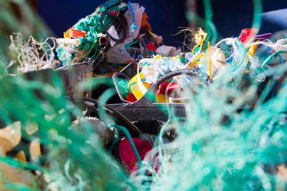 sascampaigns's tweet photo. Up to 5,000 items of plastic pollution can be found per mile on UK beaches.

Take a stand in the fight against plastic pollution, organise a clean now.

https://t.co/OlWIOW1isD

@SurfingEngland @BritishCanoeing @swcoastpath @CanoeFoundation @WaveProject @outdoorswimming @Team_BMC https://t.co/I0GKxLRLUI