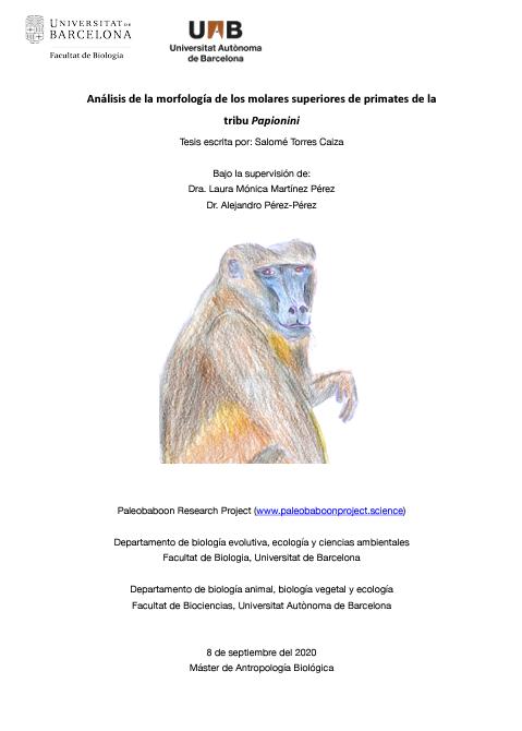 MorphoLabBCN's tweet photo. Ayer, nuestra compañera @salominho_t presentó exitosamente su TFM "Análisis de la morfología de los molares superiores de primates de la tribu Papionini". ¡Felicidades Salo! 🥳👏💜 Te deseamos mucha suerte en tu nueva etapa en Costa de Marfil 🐒

@paleobaboon 
@AntroBiologica https://t.co/KCetFY85lP
