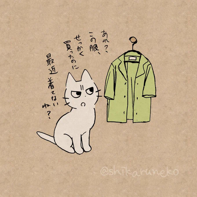 買ったけど着ない服 が増えていく人を叱ってくれる猫 