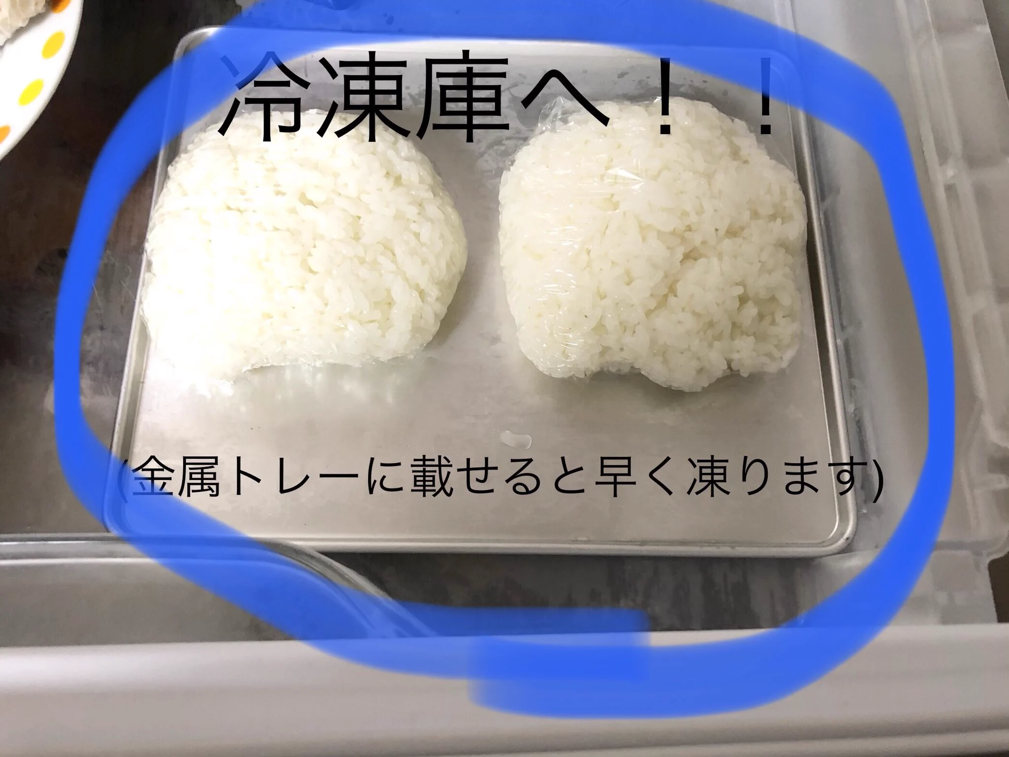 余ったご飯の冷蔵保存はNG？！炊いたお米は冷凍保存した方が美味しさを保てる！