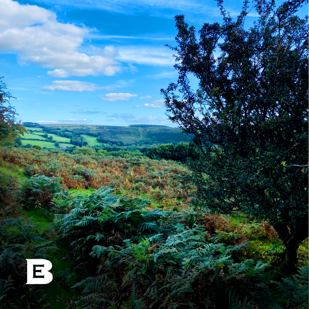 Late summer days were made for wild #walks on Devon’s beautiful National Park of #Dartmoor. 

With over 160 tors on Dartmoor, there is enough walking and exploring to keep you busy for a lifetime.