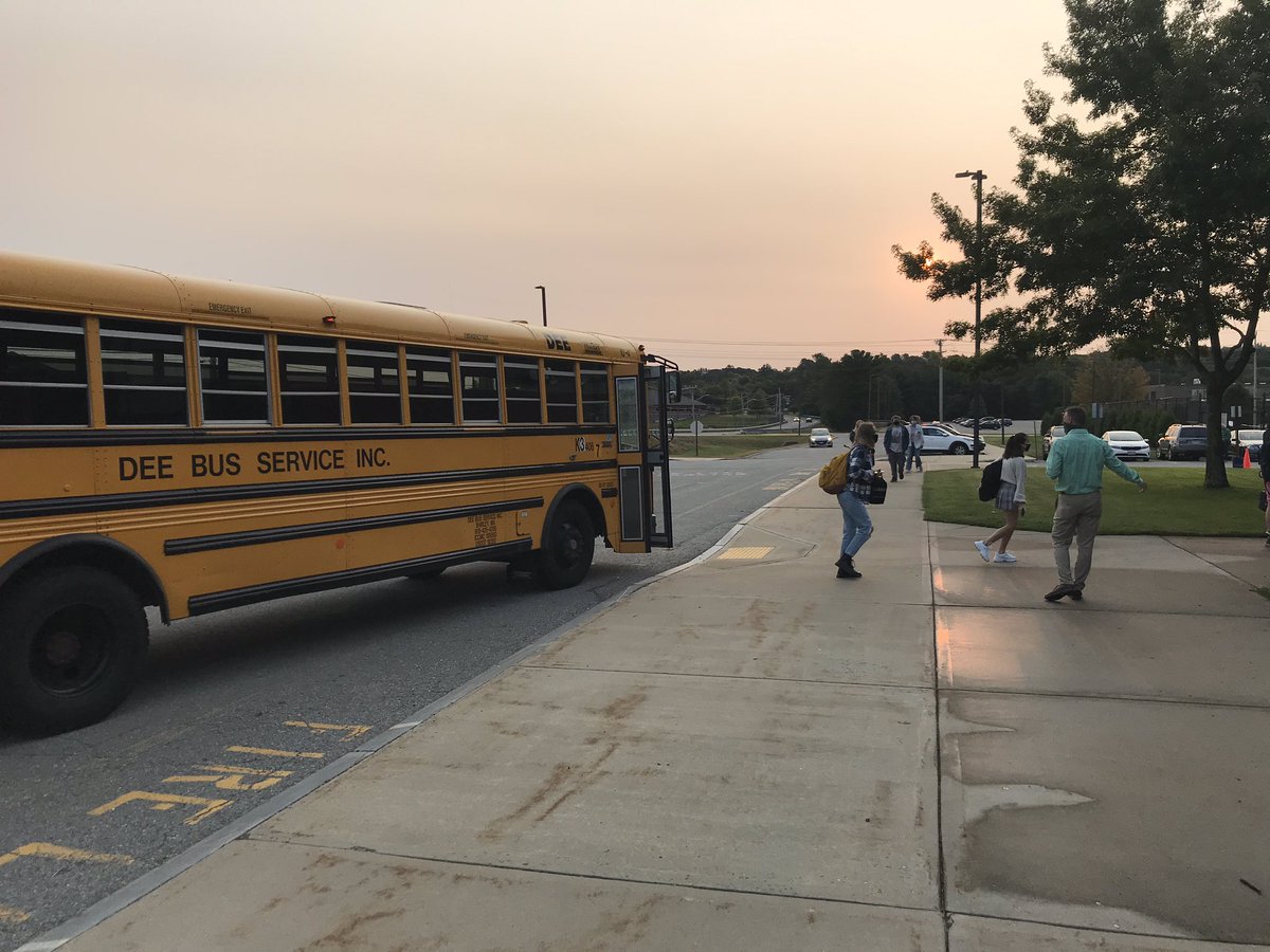 It’s been six months, but... they’re baaack!! (At least half of them today)